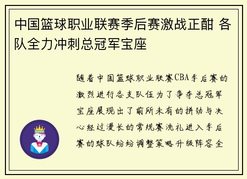 中国篮球职业联赛季后赛激战正酣 各队全力冲刺总冠军宝座